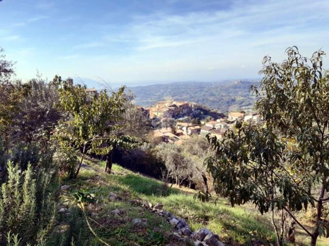 Terreno in vendita a Poggio Catino, Lazio