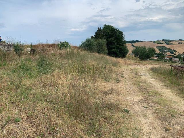 Terreno in vendita a Santa Petronilla, Marche