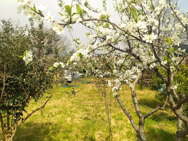 Terreno in vendita a Salemi, Acireale