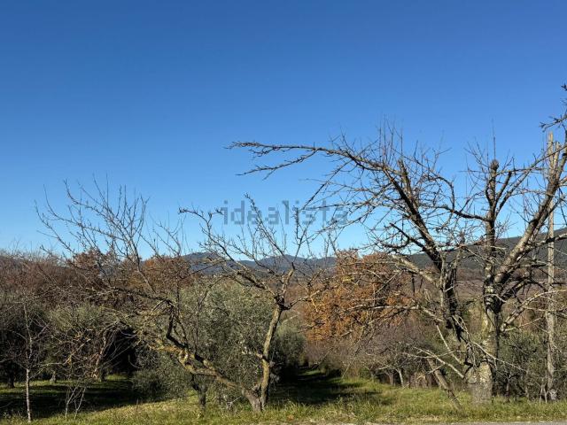 Terreno in vendita a Amelia, Umbria