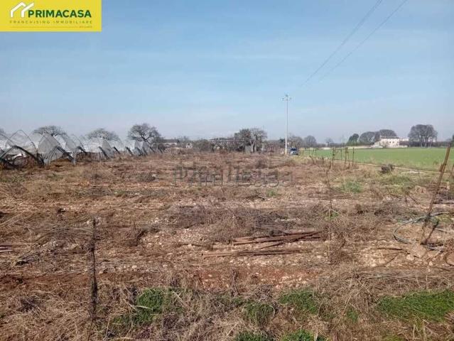 Terreno in vendita a Sud, Brenzone