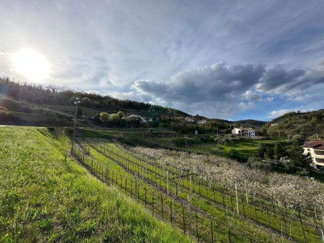 Terreno in vendita a Roncà, Veneto