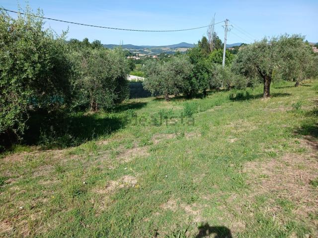 Terreno in vendita a San Gemini