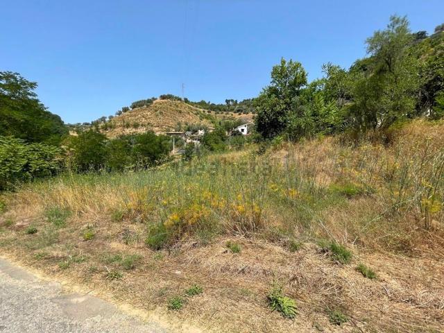 Terreno in vendita a Casali di Cosenza, Calabria
