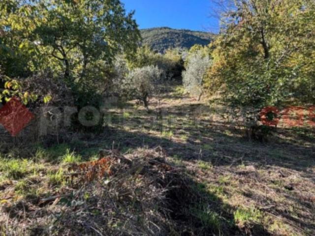 Terreno in vendita a Sgurgola, Frosinone