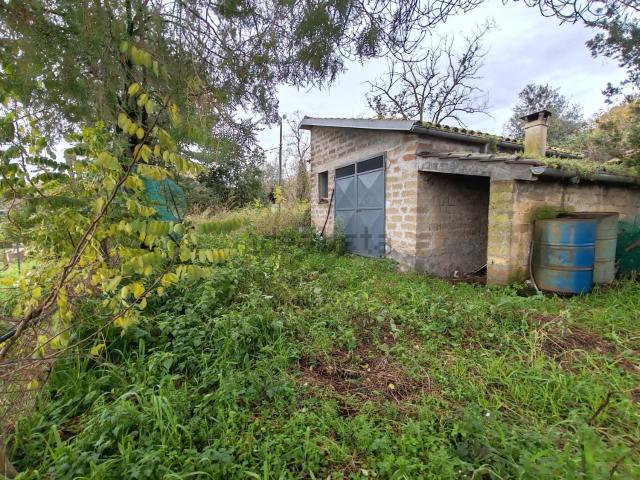 Terreno in vendita a Viterbo, Lazio