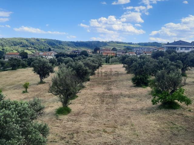 Terreno in vendita a Torremontanara, Torrevecchia Teatina