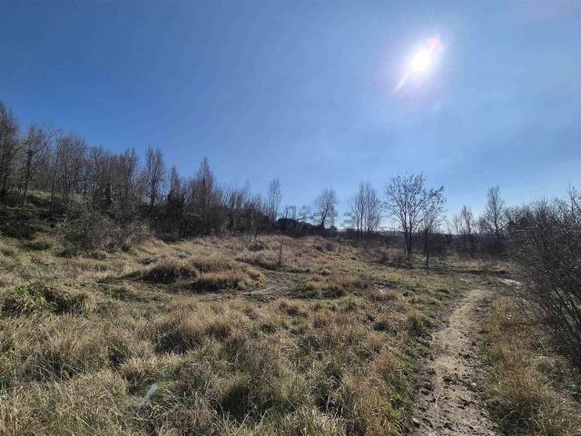 Terreno in vendita a Muggiò, Friuli-Venezia Giulia