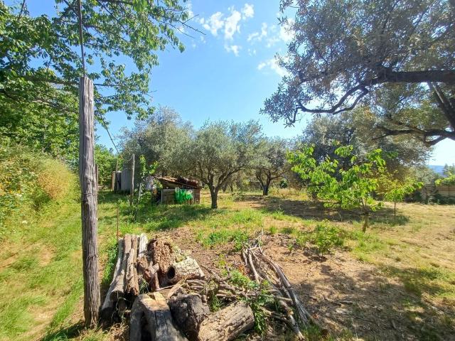 Terreno in vendita a Ficarra, Sicilia