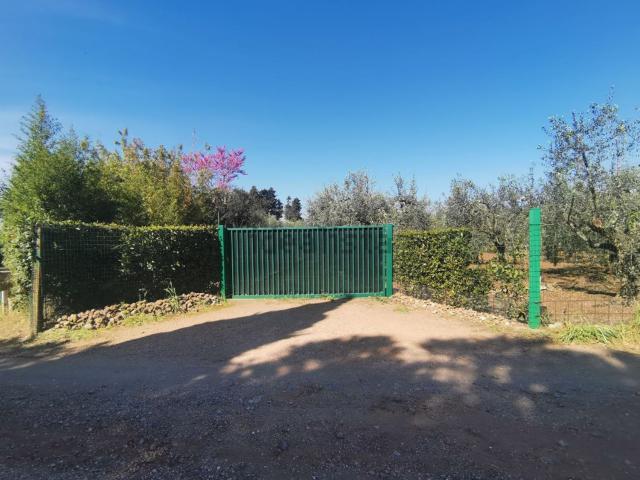 Terreno in vendita a Provinca, Orbetello