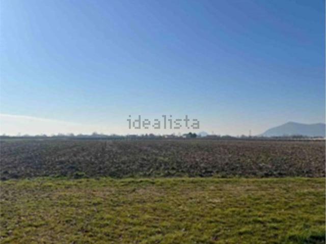Terreno in vendita a Carrara San Giorgio, Veneto