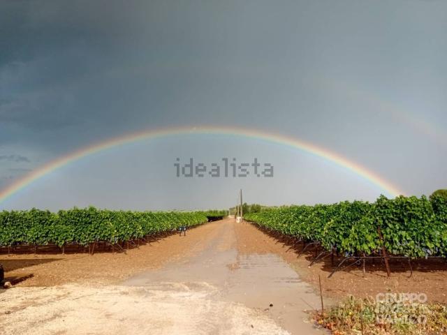 Terreno in vendita a Puglia, Brindisi