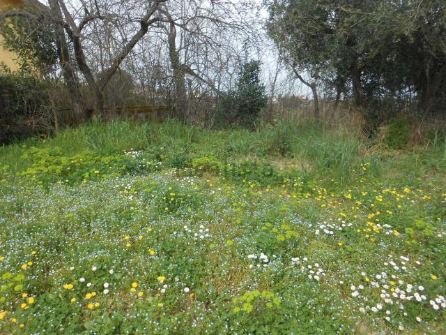 Terreno in vendita a Santa Elena Irpina, Pietradefusi