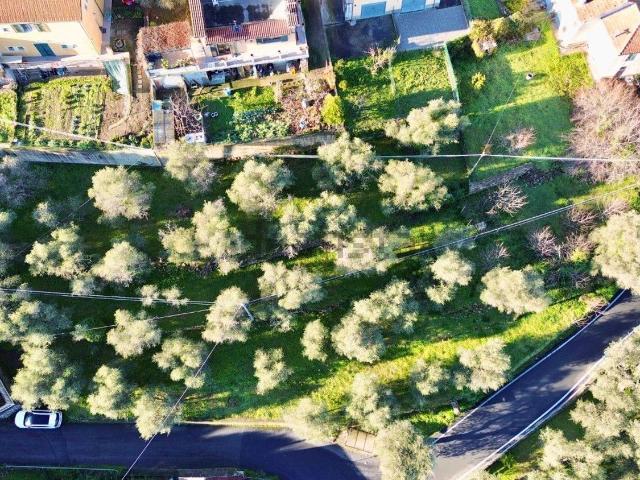 Terreno in vendita a Pontedassio, Liguria