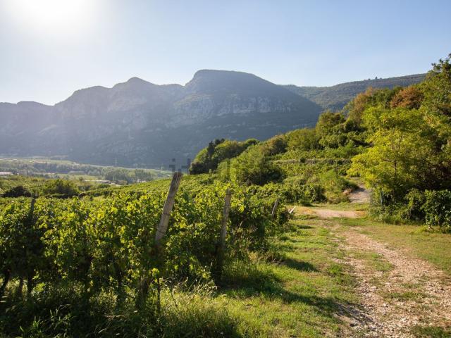 Terreno in vendita a Dolcè, Veneto