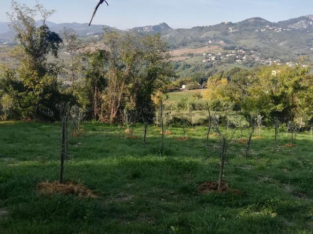 Terreno in vendita a Unione di comuni Valmarecchia, Verucchio
