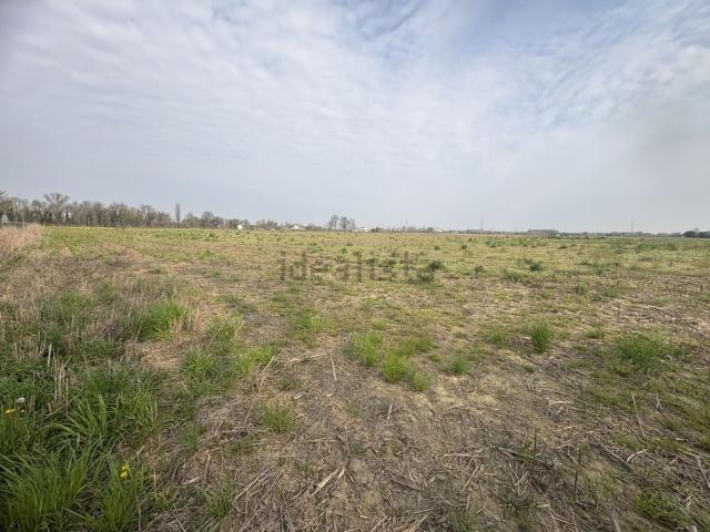Terreno in vendita a Creola, Saccolongo