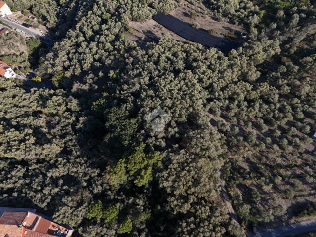 Terreno in vendita a Lingueglietta, Cipressa
