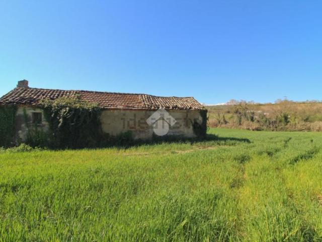 Terreno in vendita a Mosciano Sant'angelo, Abruzzo