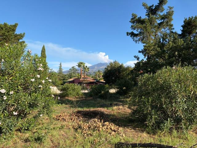 Terreno in vendita a Pedara, Catania