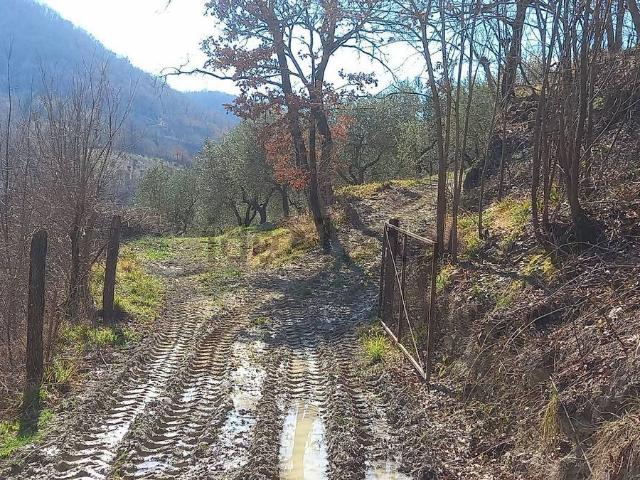 Terreno in vendita a Rieti, Lazio