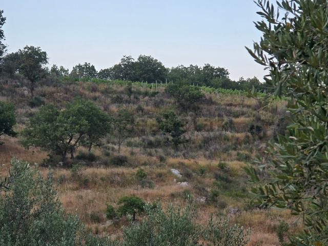 Terreno in vendita a Bonea, Benevento