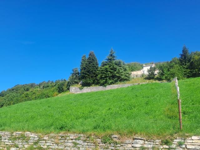 Terreno in vendita a Sant'anna D'alfaedo, Veneto