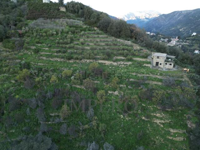 Terreno in vendita a Zanin, Ventimiglia