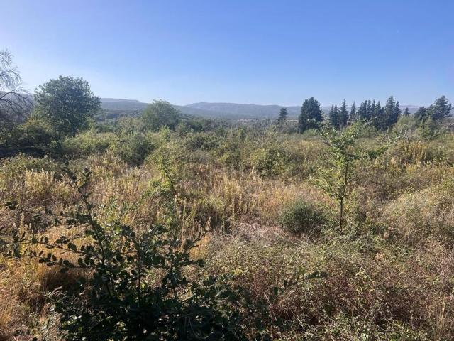 Terreno in vendita a Francofonte, Sicilia