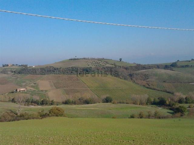 Terreno in vendita a Torrita, Toscana