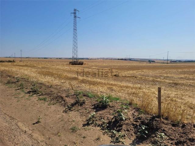 Terreno in vendita a Puglia, Foggia
