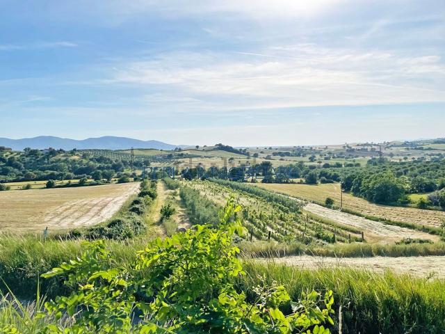 Terreno in vendita a Montiano, Magliano In Toscana