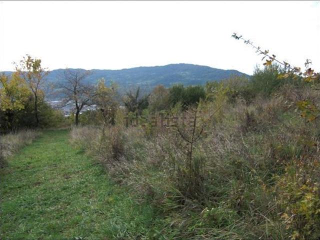 Terreno in vendita a Chiampo, Veneto
