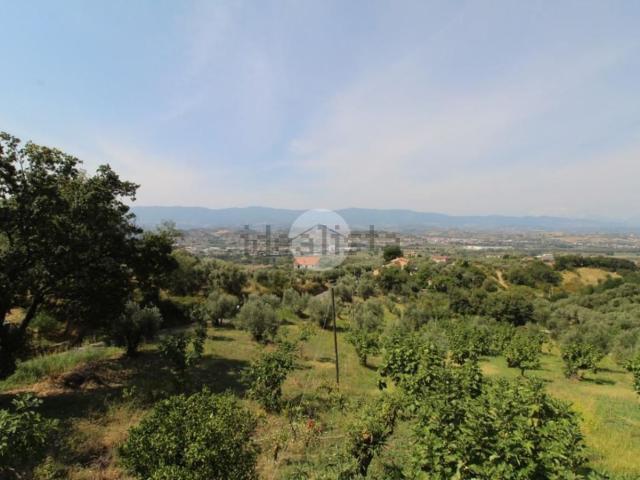 Terreno in vendita a Calabria, Cosenza