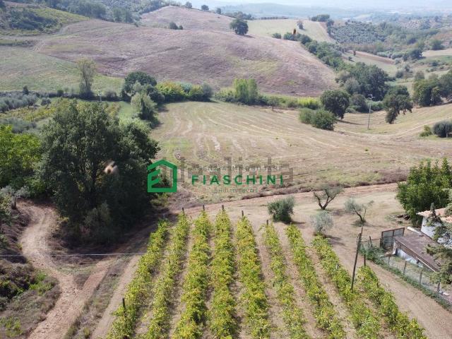 Terreno in vendita a Lugnano In Teverina, Umbria