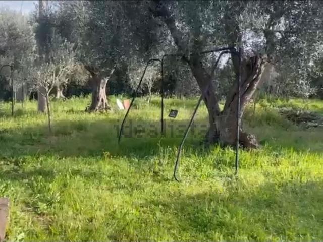 Terreno in vendita a Quattro Strade, Orbetello