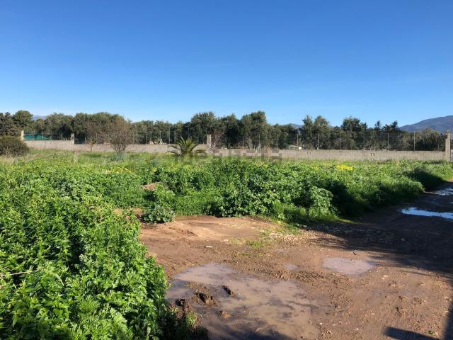 Terreno in vendita a Quartu Sant'elena, Sardigna/Sardegna