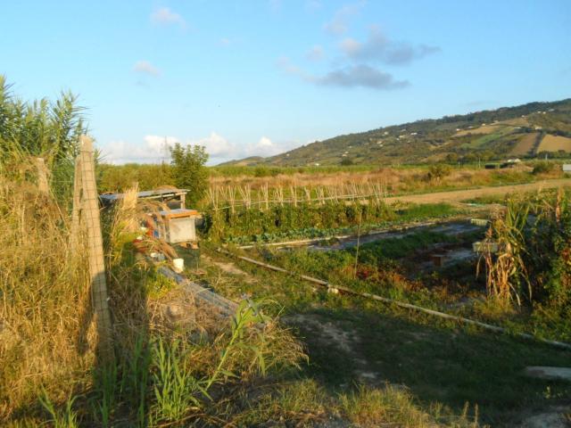 Terreno in vendita a Molino, Marche