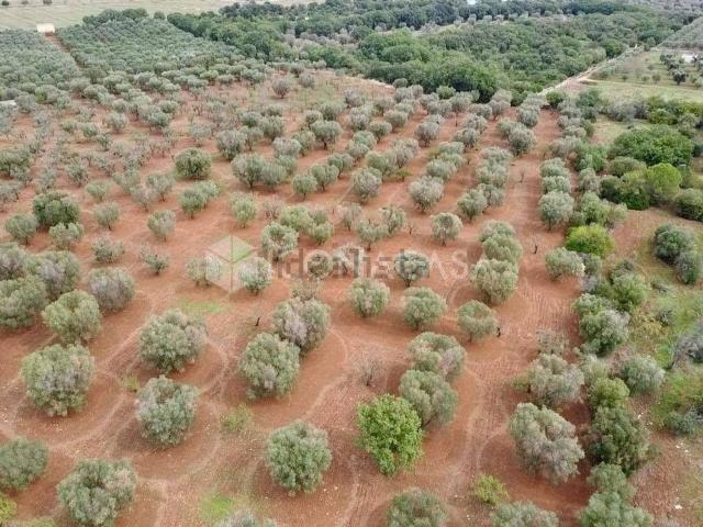 Terreno in vendita a Ostuni, Brindisi