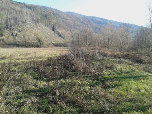 Terreno in vendita a Chiusi Della Verna, Toscana