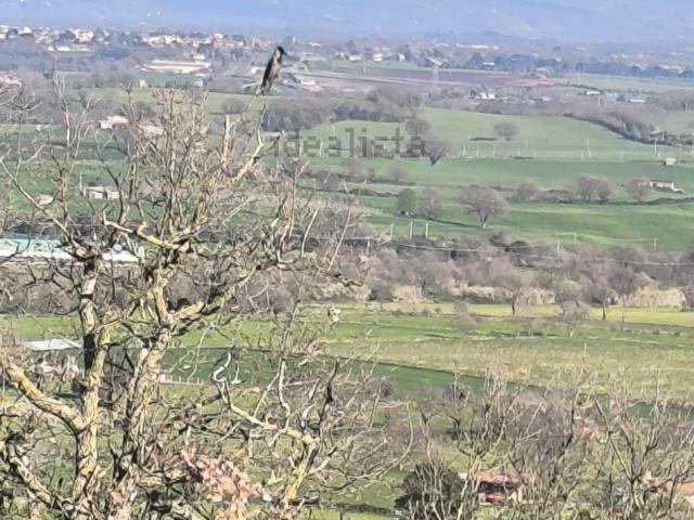 Terreno in vendita a Zepponami, Montefiascone