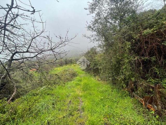 Terreno in vendita a Calabria, Catanzaro