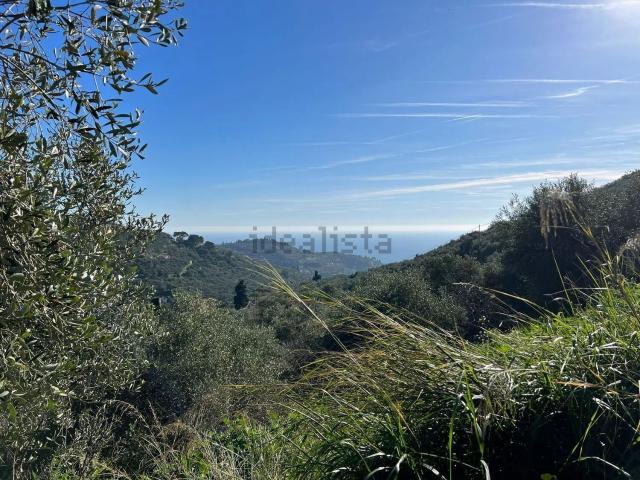 Terreno in vendita a Oliveto, Imperia