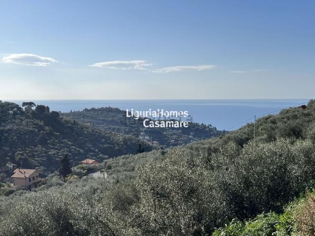 Terreno in vendita a Oliveto, Imperia