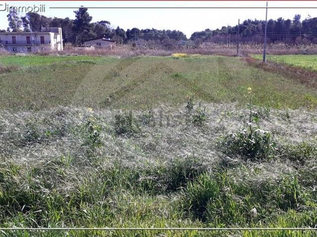Terreno in vendita a Calabria, Cosenza