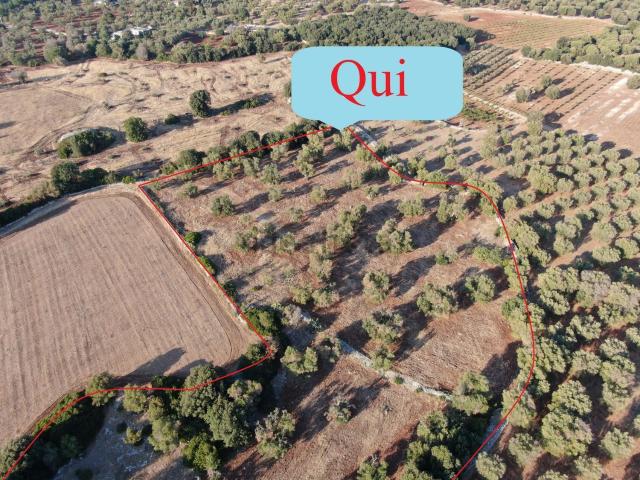 Terreno in vendita a Puglia, Brindisi