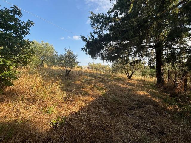 Terreno in vendita a Viterbo, Lazio