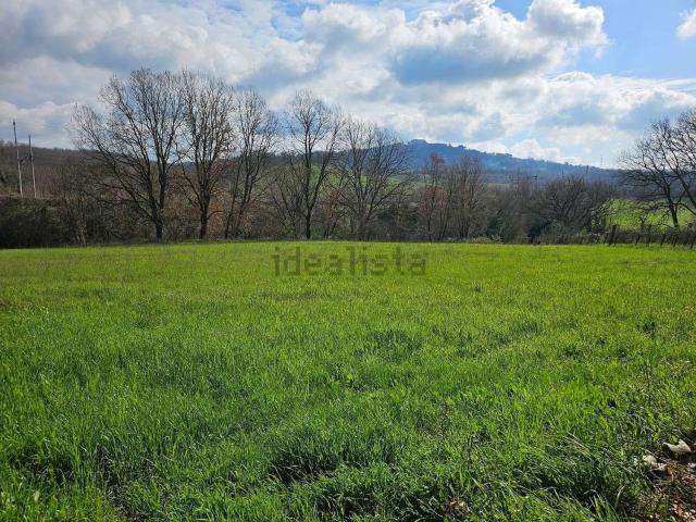 Terreno in vendita a Attigliano, Umbria