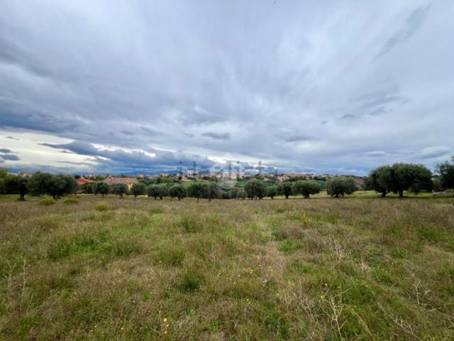 Terreno in vendita a Montone, Mosciano Sant'angelo