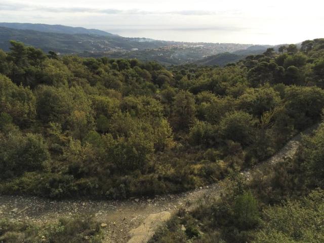 Terreno in vendita a Diano Arentino, Liguria